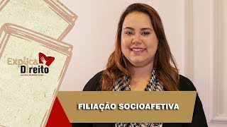 Explica Direito Filiação Socioafetiva  2019 [upl. by Marylinda]