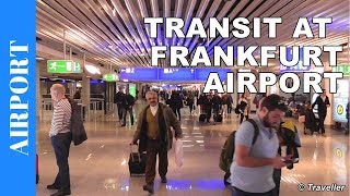 TRANSIT WALK AT FRANKFURT Airport FRA Terminal 1  Connection Flight Transfer Arriving amp Departing [upl. by Pierrepont]